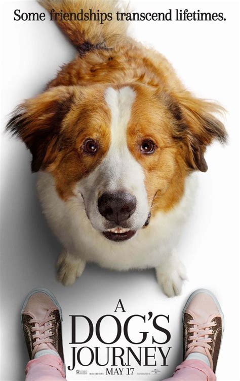 A Dog's Journey - Movie Review | the Disney Driven Life