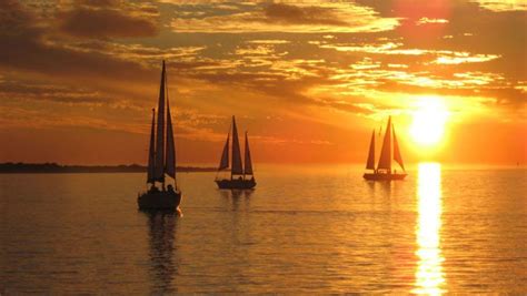 Boca Ciega Bay Sunset Cruise