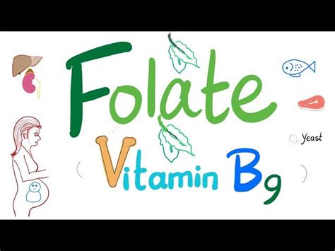 Free Video: Vitamin B9 - Structure, Function, Folate Deficiency Anemia Diagnosis & Treatment ...