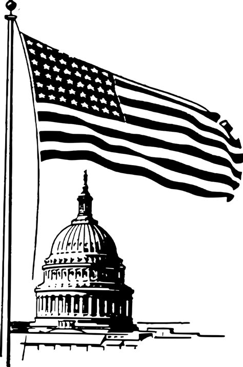 Download Capitol, Washington Dc, Flag. Royalty-Free Vector Graphic ...