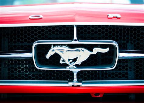 Why horses: the history of the appearance of cars with a horse on the logo - Scottish Business News