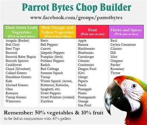 Pin by Robyn Lawrence on useful in 2020 | Parrot, Parrot food recipe ...