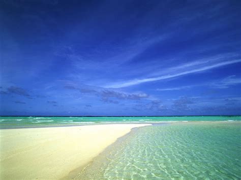 🔥 [50+] Siesta Key Beach Wallpapers | WallpaperSafari