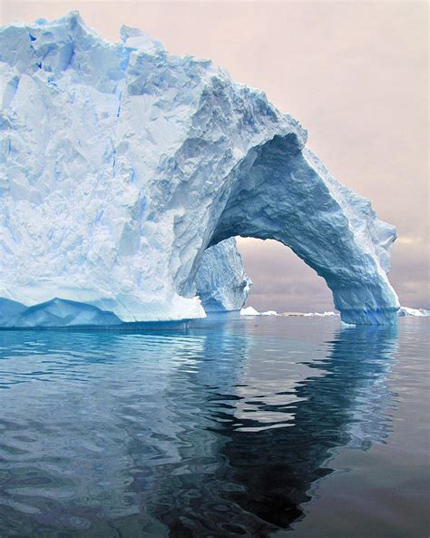 Iceberg Alley Photograph by Tony Beck