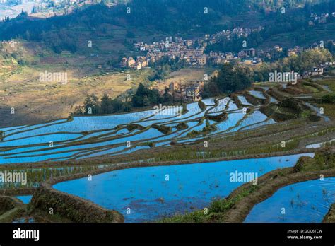 Rice terraces, Yunnan, China Stock Photo - Alamy