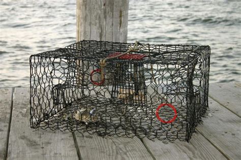 How to Make a Crab Trap | Gone Outdoors | Your Adventure Awaits