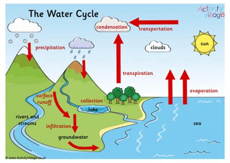 The Water Cycle - Scientist Next Door