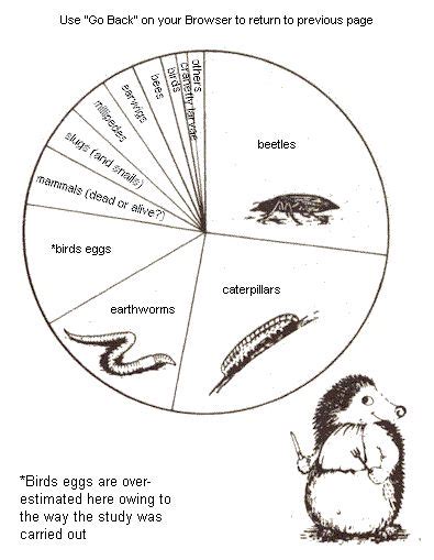 wild hedgehog diet diagram - infographic