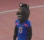 Buster the Bronco. Mascot for the Boise State Broncos. #CBSSuperSocial | Boise state broncos ...