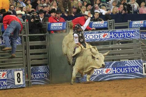 Bull riding at the rodeo gets closer look