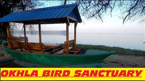 OKHLA BIRD SANCTUARY - YouTube