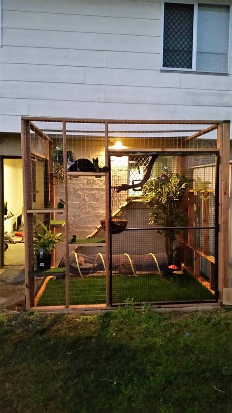 Catio pour notre chat d’intérieur,Catio pour notre chat d’intérieur Qu ...