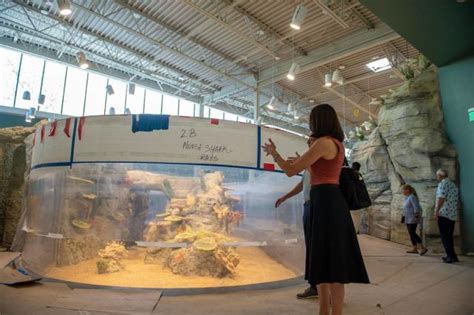 Kansas City Zoo’s new aquarium has a name. You’d never guess who it’s ...