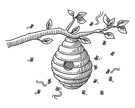 Beehive On Branch Drawing Stock Illustration - Download Image Now - iStock