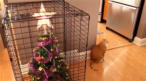 A Festive Cat Gives Birth to Adorable Kittens Underneath Her Human's Cozy Christmas Tree