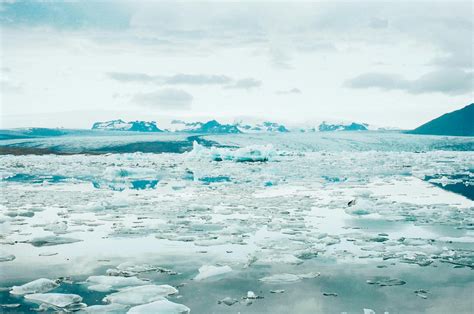 Free stock photo of cold, glacier, ice