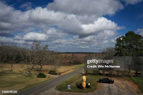 Jimmy Carter Peanut Statue Photos and Premium High Res Pictures - Getty ...