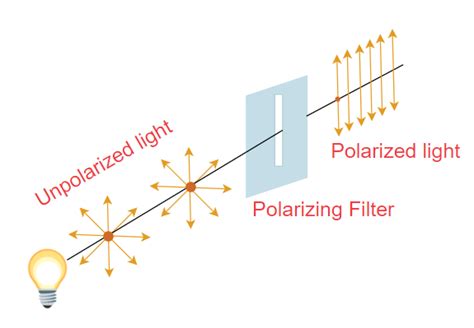 Polarization of Light - Definition, Types, Examples & Applications