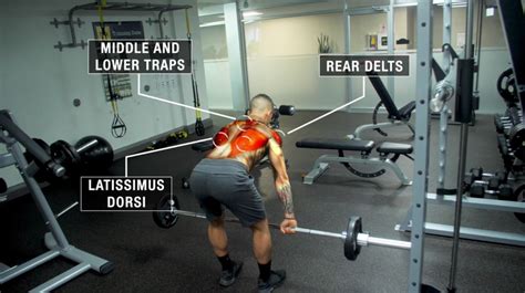 The Ultimate Guide On How To Do Barbell Rows To Build A Bigger Back