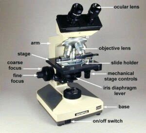 The Microscope’s Iris Diaphragm: What it Does And How it Works ...