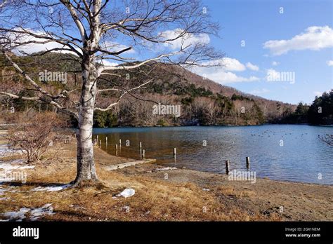 Lake scenery at winter in Nikko, Japan. Nikko is famous for its beautiful scenery such as ...