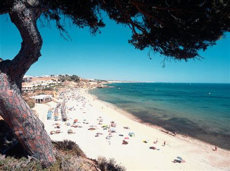 Albufeira Holidays 2021 / 2022 | Thomas Cook | Albufeira, Beach club, Beach