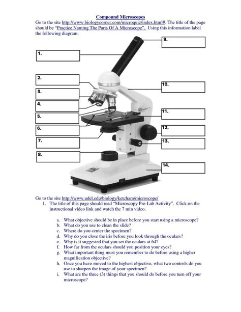 Microscope Parts And Use Worksheet