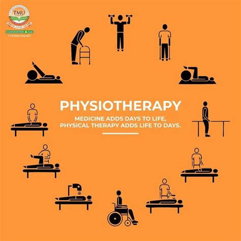 Physiotherapy | Choose Physiotherapy as your Career | TMU Moradabad | Medical quotes, Doctor of ...