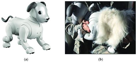 (a) Sony Aibo ERS-1000 without the fur; (b) Aibo outfitted with a fur suit. | Download ...