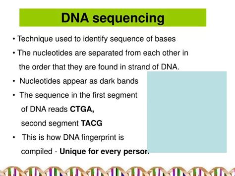 PPT - DNA sequencing PowerPoint Presentation, free download - ID:140965