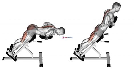 Plate Hyperextension - Home Gym Review