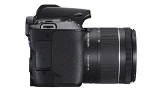 The best lenses for the Canon EOS Rebel SL3 (EOS 250D) in 2024 | Digital Camera World