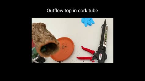 The easiest way to an aquarium waterfall – HousePetsCare.com