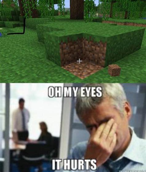 One meme for every Minecraft block (Grass Block) : r/MinecraftMemes