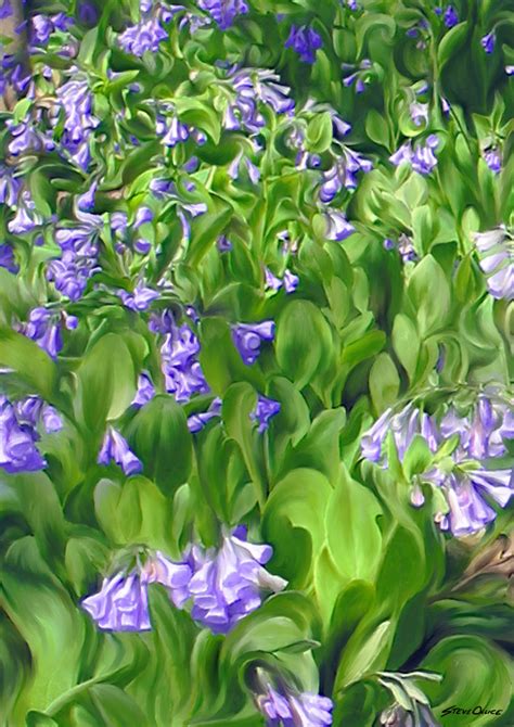 Bluebells Painting Teaser | Steve Ollice