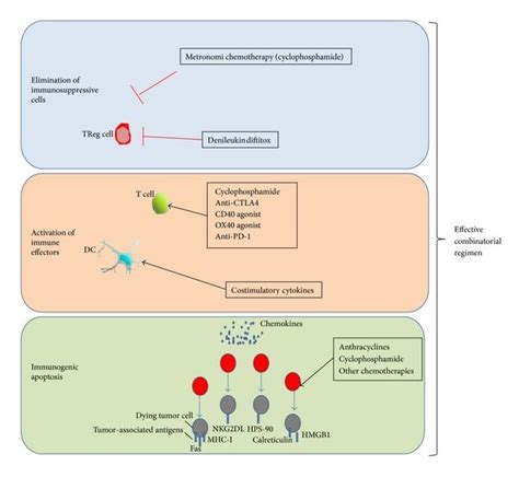 Mechanisms of action of conventional antineoplastic agents and new... | Download Scientific Diagram