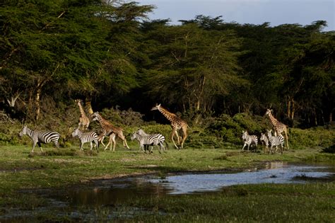 Kisumu, Kenya | jessey dearing | filmmaker + journalist