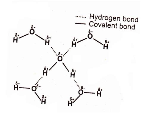 Hydrogen Bonding | Chemistry Skills