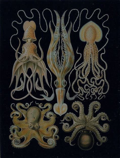 Green Octopus Art | Flickr - Photo Sharing!