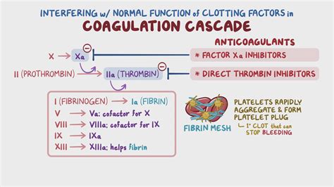 Anticoagulants - Direct thrombin and factor Xa inhibitors: Nursing pharmacology - Osmosis Video ...