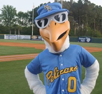 Splash, Myrtle Beach Pelicans mascot; Class A-Advanced Carolina League. Debuted in 1999. Myrtle ...