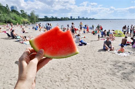 What's happening at Westboro Beach this summer? - Kitchissippi Times Community Newspaper