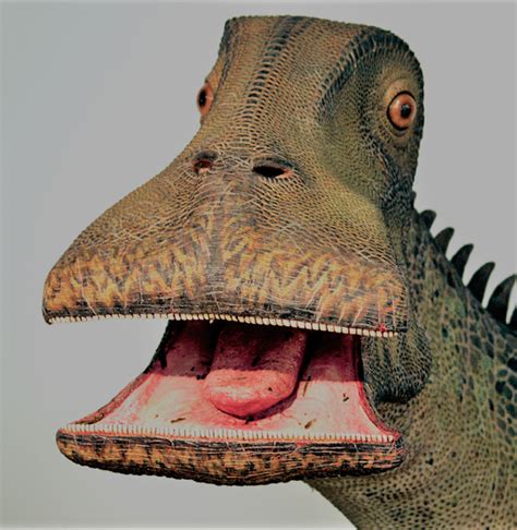 500 Teeth Dinosaur | What Dinosaur Has 500 Teeth | Itsreadtime