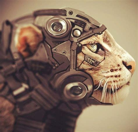 Cyber Cat | Robot animal, Futuristic art, Sci fi concept art