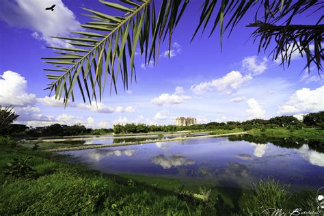 Agara lake, Bangalore | Mr Bakchobeat | Flickr