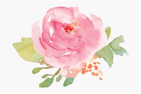 Light Pink Watercolor Flowers Flowers Healthy - Pink Watercolor Flower ...