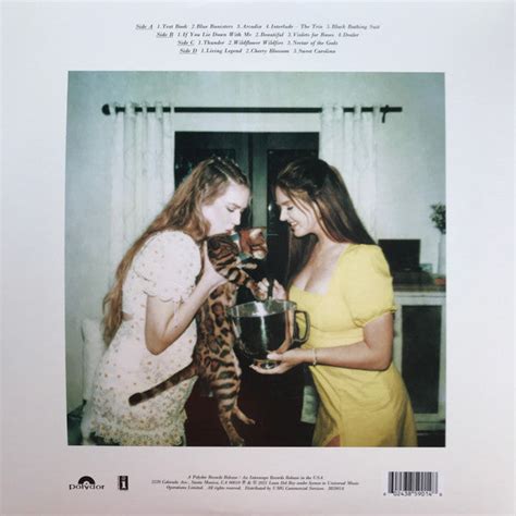 Lana Del Rey — Blue Banisters (2-LP) - Deaf Man Vinyl