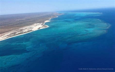 Coral Reefs Protect Coasts From Severe Storms – Study – FloodList