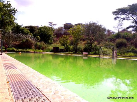 Lake Bogoria Spa Resort - Bonnita on Safari