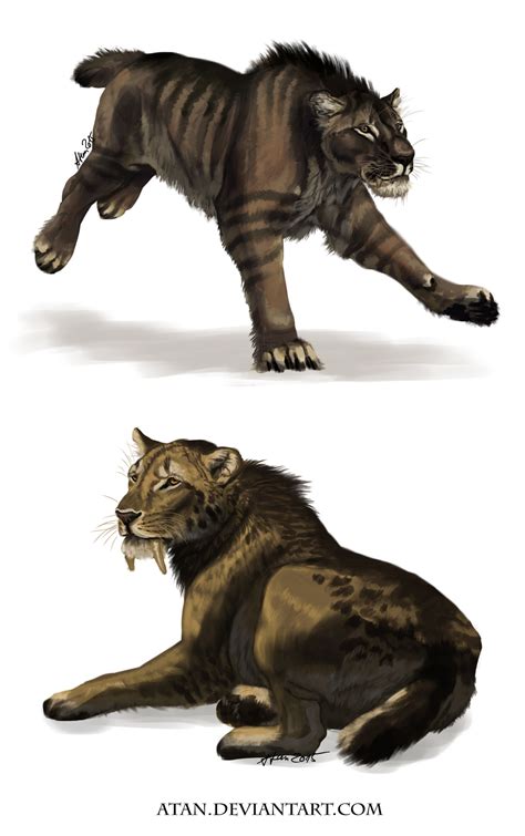 Ancient Cats by Atan on DeviantArt